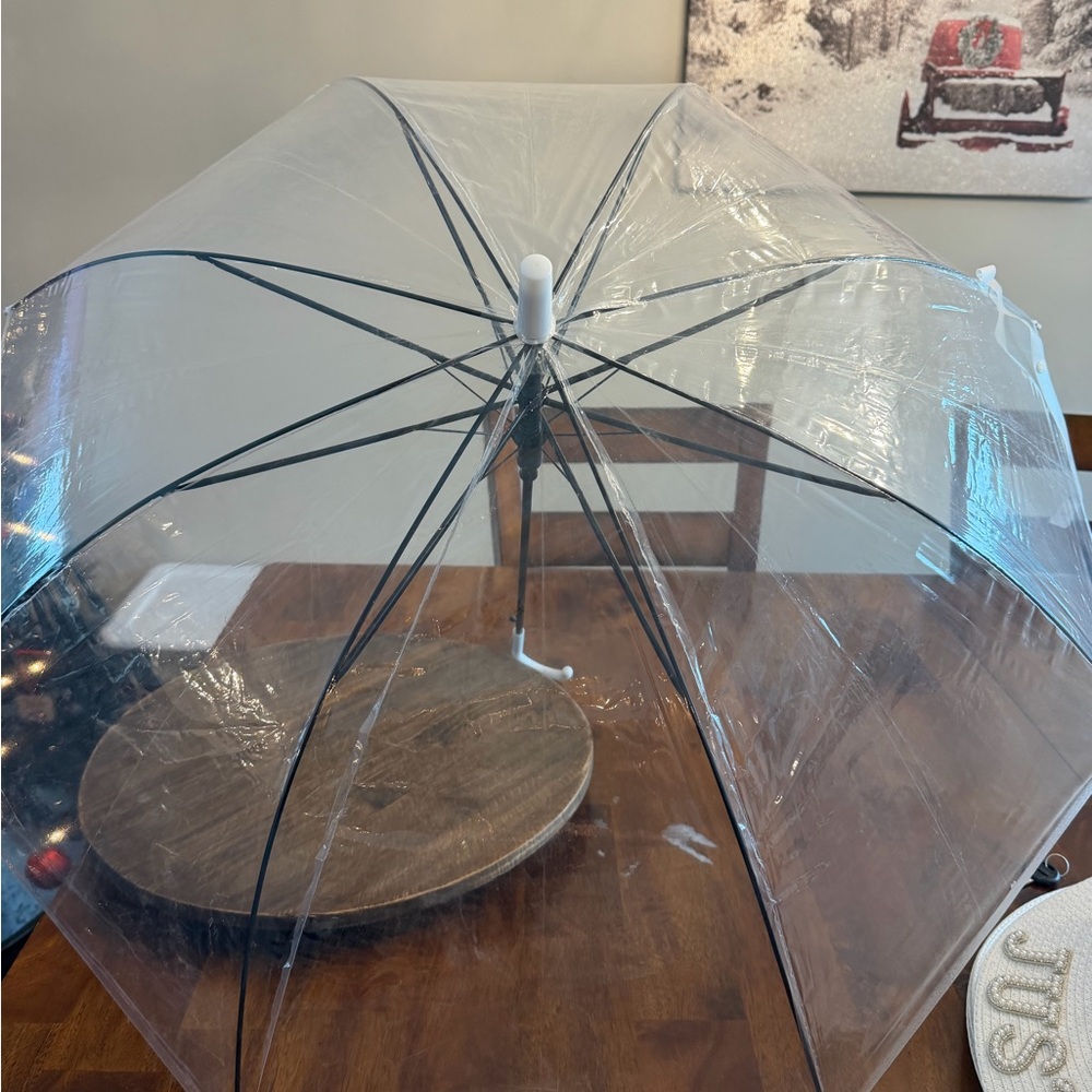 Clear Bubble Umbrella